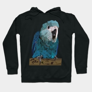 Spix's Macaw Hoodie